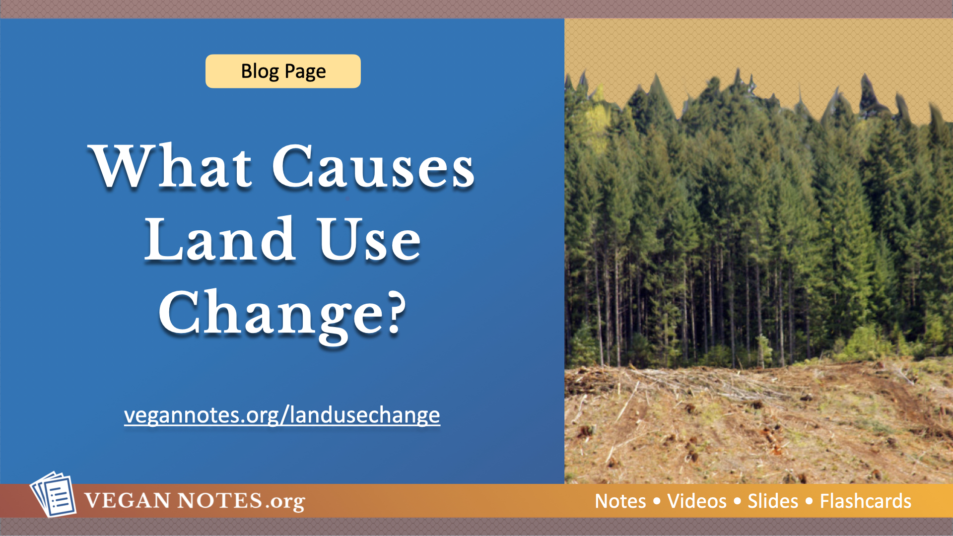What Causes Land Use Change?