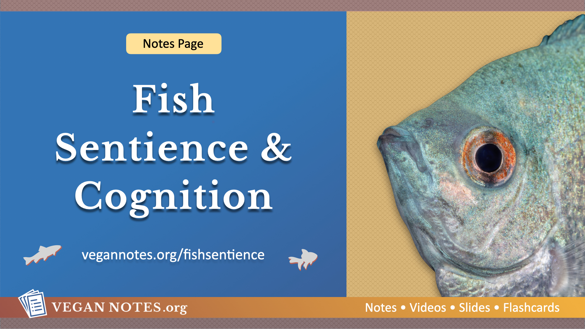 Fish: Sentience and Cognition
